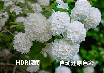 HDR视频发出去太暗怎么办?自动还原色彩的方法超简单