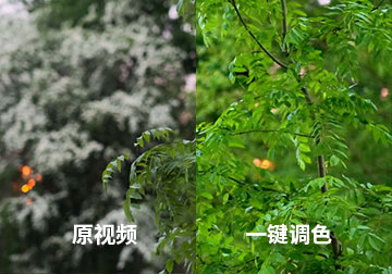 Pocket4视频如何不调参数,直接一键调色实现电影高级感